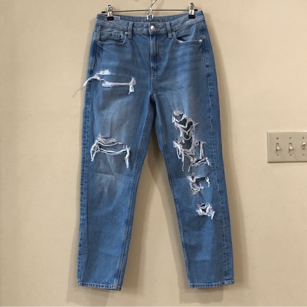 American Eagle Distressed Mom Jeans